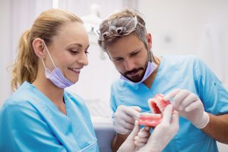 Two dentists discussing a dental model